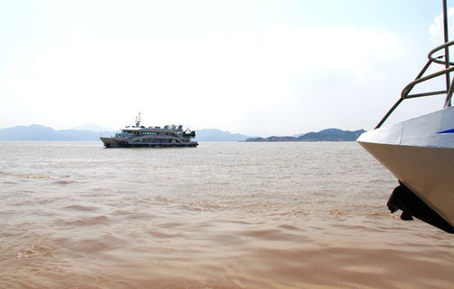航程與禪心 從國際貨運(yùn)代理到普陀山的朝圣之旅